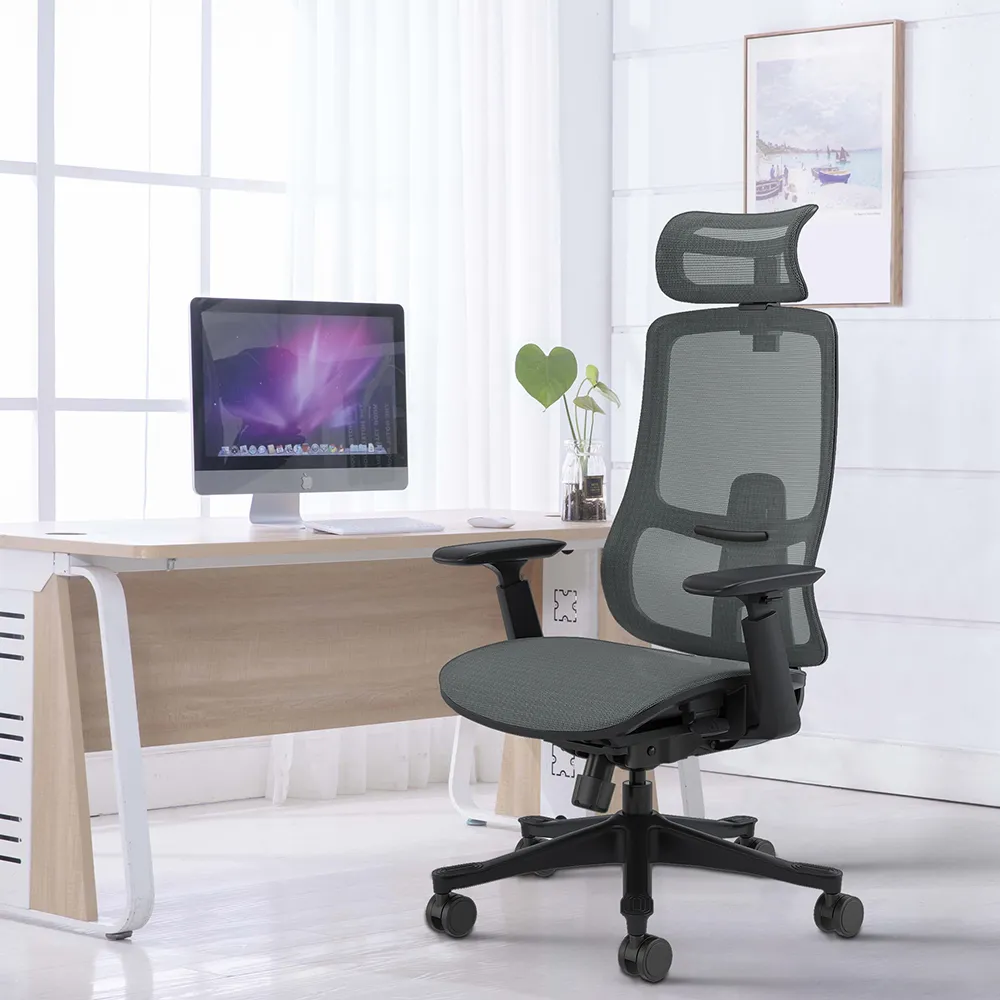 Ergonomic Office Chair